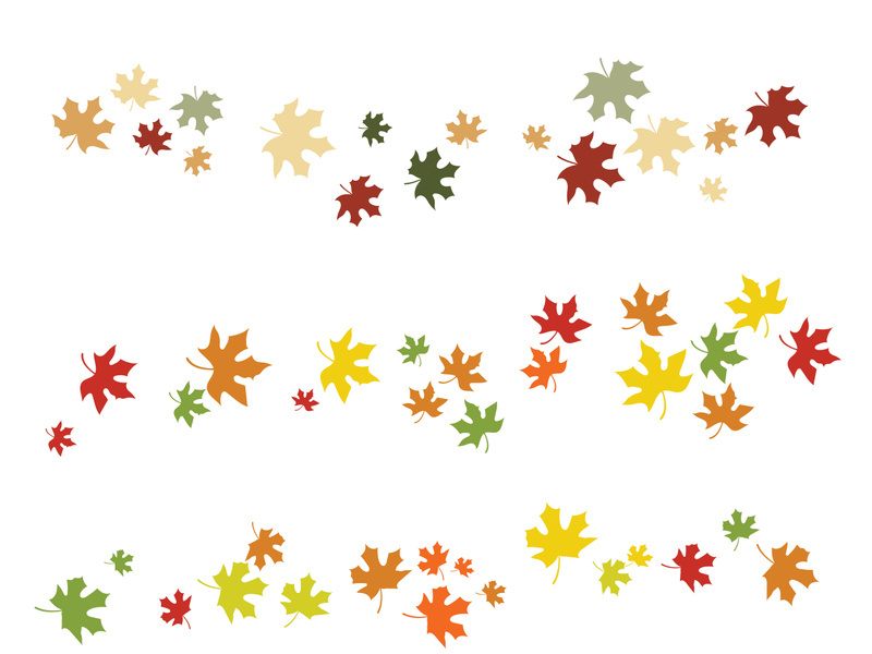 Maple Leaf design illustration