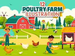 12 Poultry Farm Illustration preview picture