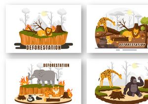 9 Deforestation Vector Illustration