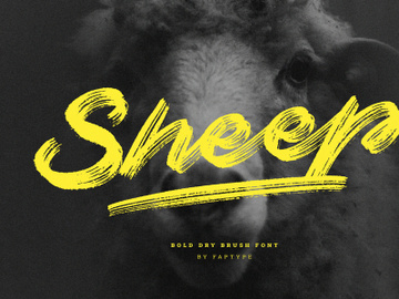 Sheep | Dry Brush Script Font preview picture