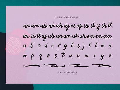 Traffic Rolland | Casual Handwritten