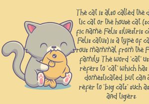 Catty Funny