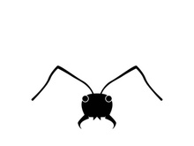 ant head logo