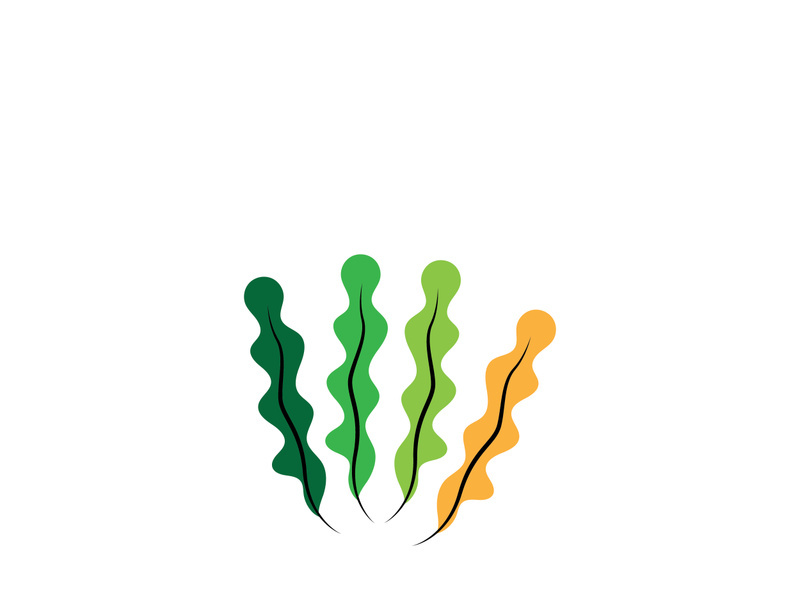 seaweed vector illustration template