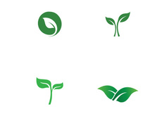 Natural green leaf logo