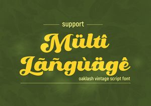 Oaklash - Retro Bold Script Font