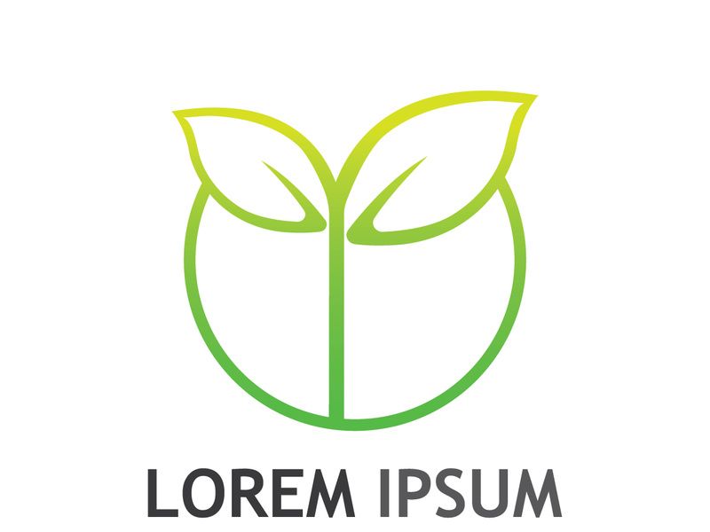 Colorful natural leaf logo design.