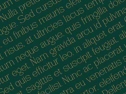 Vantique - Serif Font