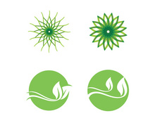 Nature leaf eco green logo icon