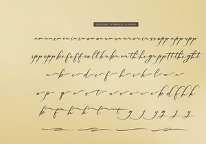 Palmintte | Handwritten Script