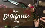 Sattomy - Handwritten Font