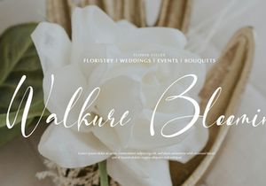 Fortune Messenger | Handwritten Script