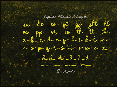 Nicolla Sunfield | Monoline Script