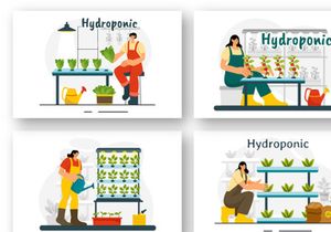 9 Hydroponics Technology Illustration