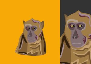 Animal Illustration Bundle
