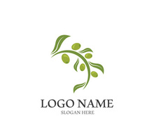 olive icon vector illustration design template