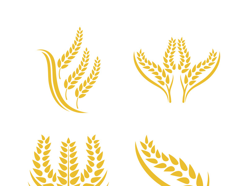 Wheat logo vector icon illustration design