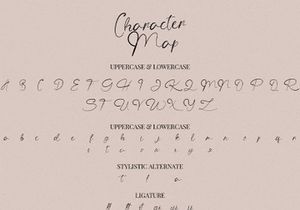 The Angellica - Modern Calligraphy Font