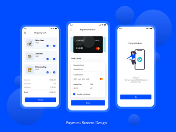 Payment Screen Design preview picture