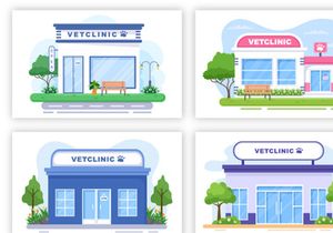 20 Veterinary Clinic for Pets Illustration