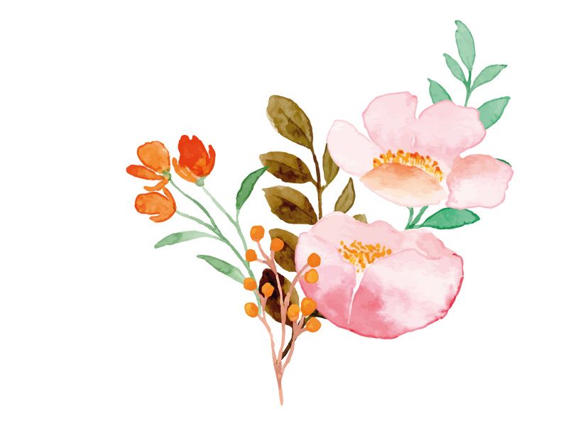 Vector Flower Watercolor Illustration