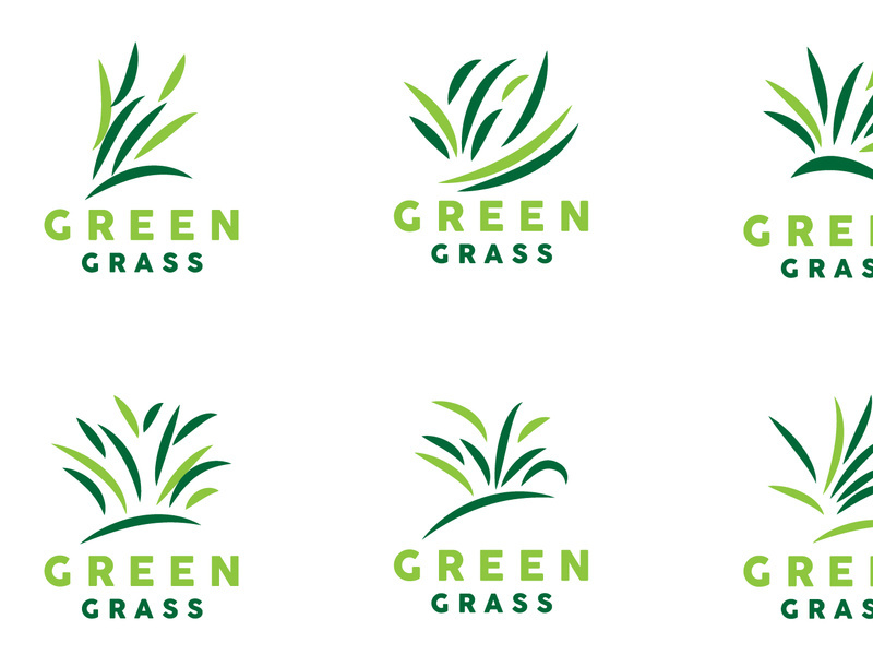 Green Grass Logo, Nature Plant Vector