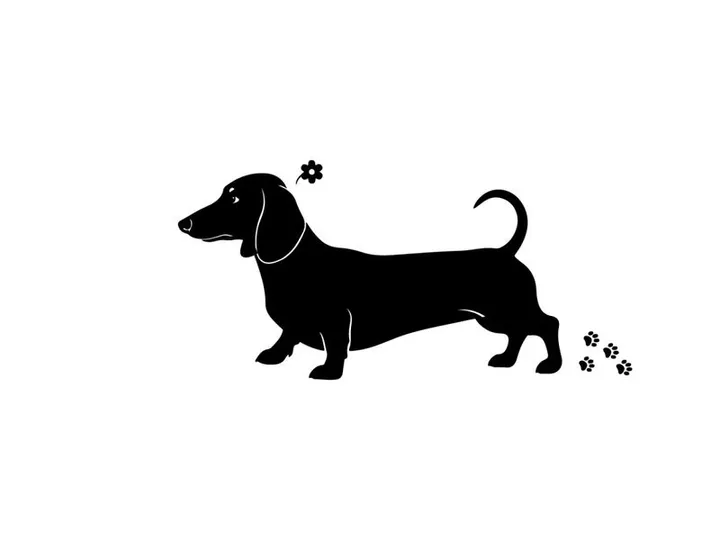 Silhouette of a dachshund dog standing still profile view