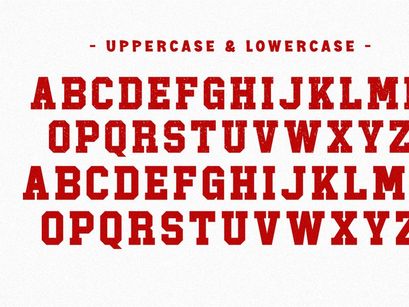 Single - Condensed Slab Serif Font