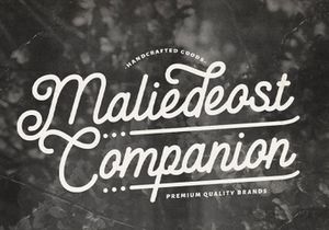 Anelka Fambuya - Monoline Retro Script Font