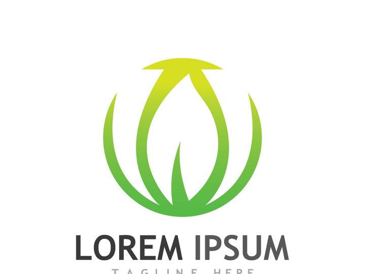 Colorful natural leaf logo design.