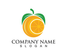 Orange logo design Vector icon illustration design