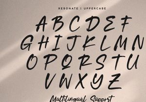 Resonate - Brush Script Font