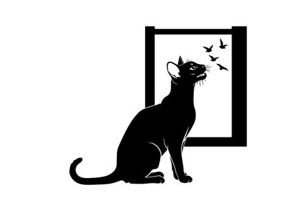 Black silhouette cat looking at birds through a window silhouette