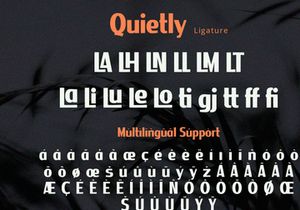 Quietly - Sans Serif Font