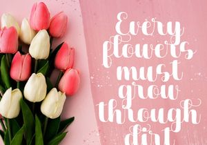 Dilaney - Handwritten Font