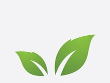 Green leaf ecological element vector icon logo