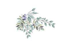 Vector Flower Watercolor Illustration