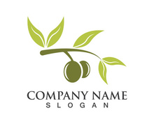 Extra virgin olive oil logo icon design vector illustration