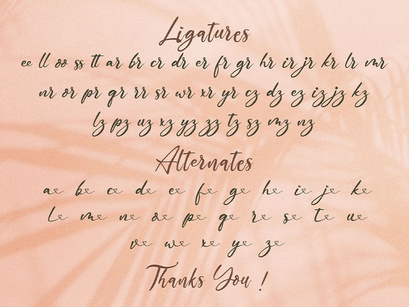 The Austin - Handwritten Script Font