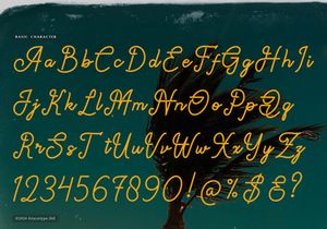 Paradise Gallaiso | Monoline Script Typeface