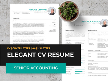 Elegant CV Resume Template - Senior Accounting preview picture