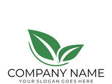 Green leaf logo design vector illustration