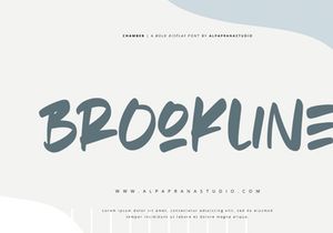 Chamber - Handwritten Font