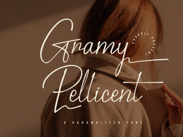 Gramy Pellicent | Handwritten Font preview picture