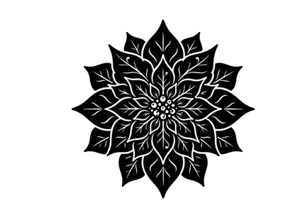 Black and white poinsettia flower illustration for Christmas holiday design projects