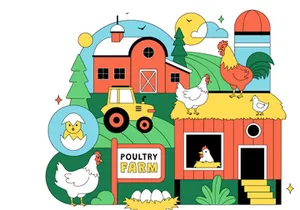 10 Poultry Farming Illustration