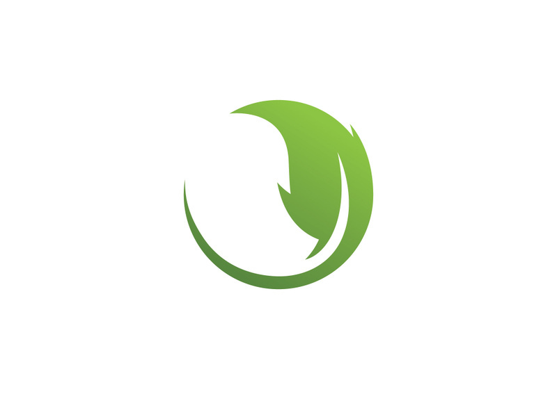 Green leaf logo  Nature icon design