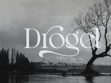Drogel | Display Serif Font preview picture
