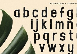 Rosewood - Sans Serif Font