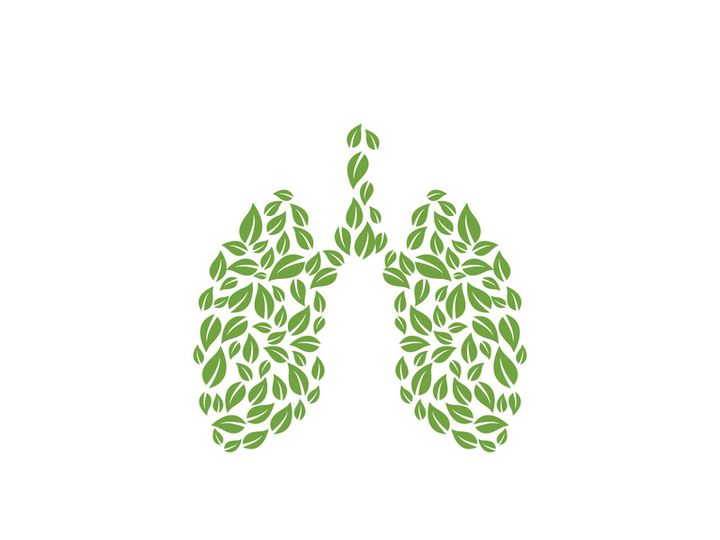 Lung icon logo for medical design